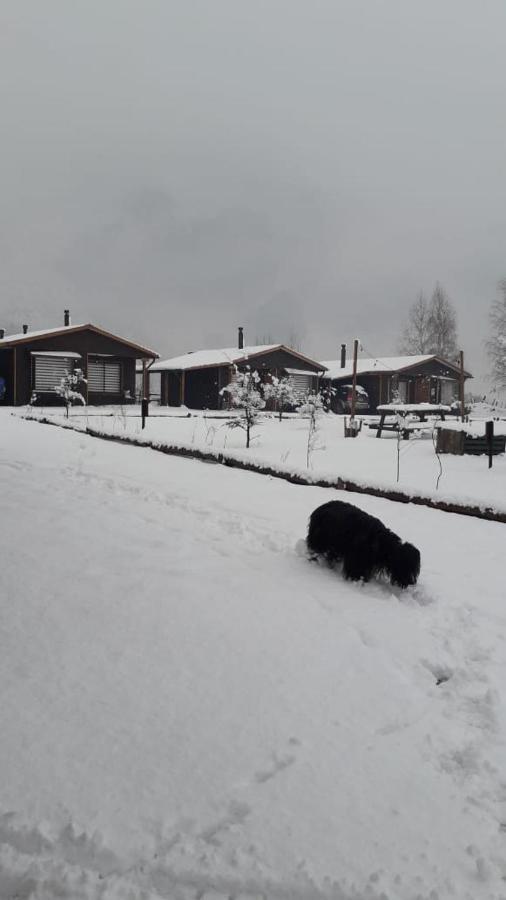Ferienwohnung El Embrujo Patagon Coyhaique Exterior foto